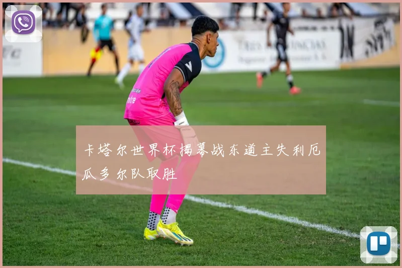 卡塔尔世界杯揭幕战东道主失利厄瓜多尔队取胜