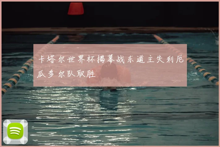 卡塔尔世界杯揭幕战东道主失利厄瓜多尔队取胜